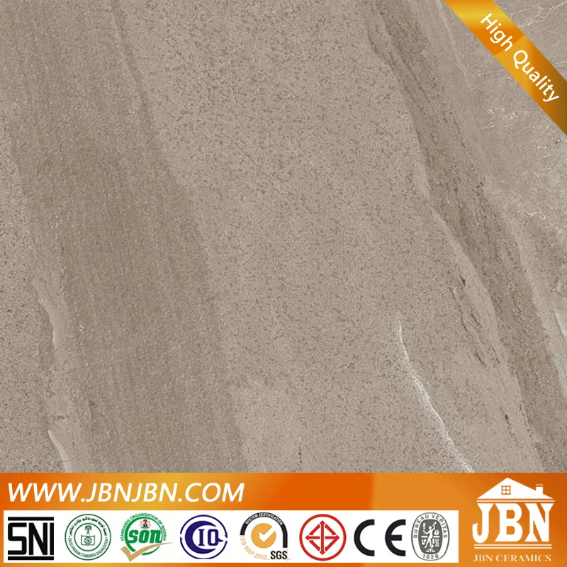 Simple Fashion Style Color Body Cement Tile Floor (JV6711D)