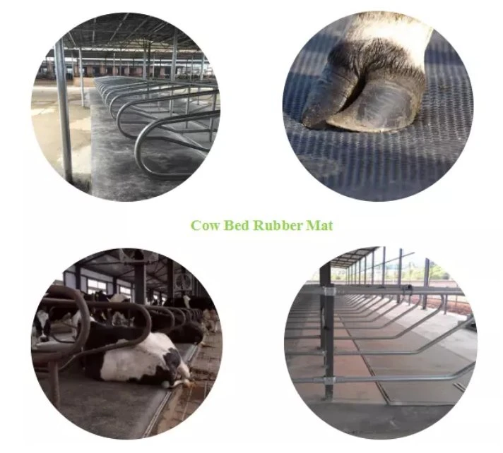 2021 Farm Pasture Use Good Price Rubber Stable Cow Mat