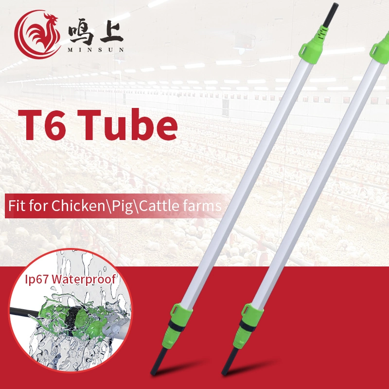 Breeding Lamp ETL CE Waterproof Tube for Chicken Duck Goose Gadfly, Hermetia Illucens L, Pet, Pitaya, Tomato, Lettuce