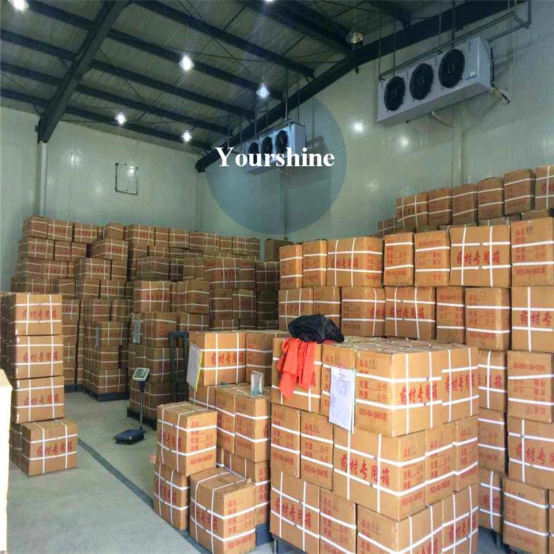 High Density Professional Medicine Cold Storage