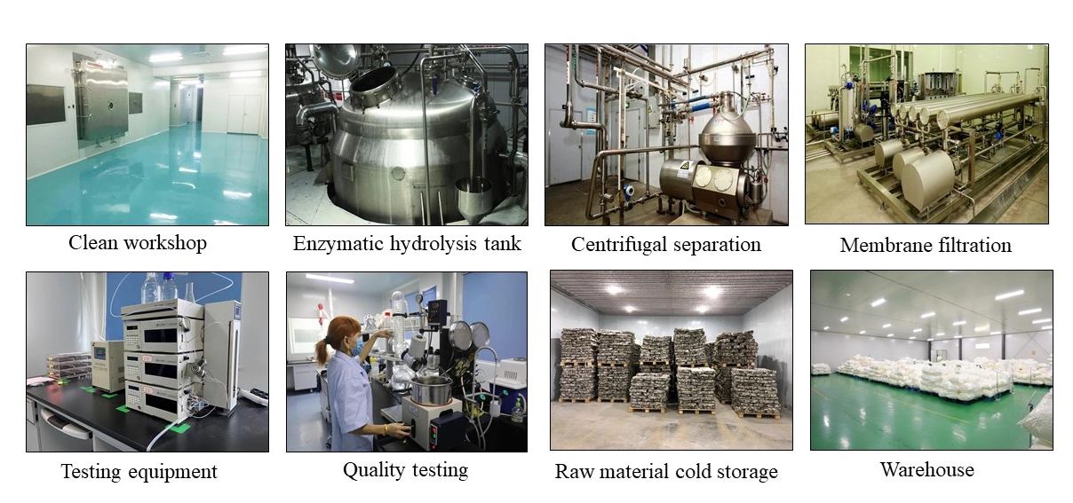 Los aditivos alimentarios D-fructosa CAS57-48-7 Edulcorante fructosa cristalina