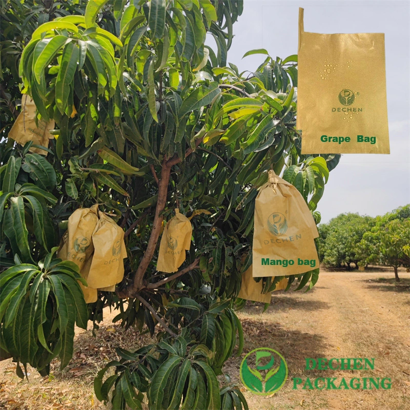 Grapefruit Dragon Orange Custard Apple Pear Peach Pomegranate Grape Banana Growth Guava Protective Paper Bag Cover Mango Fruit Protection Bags