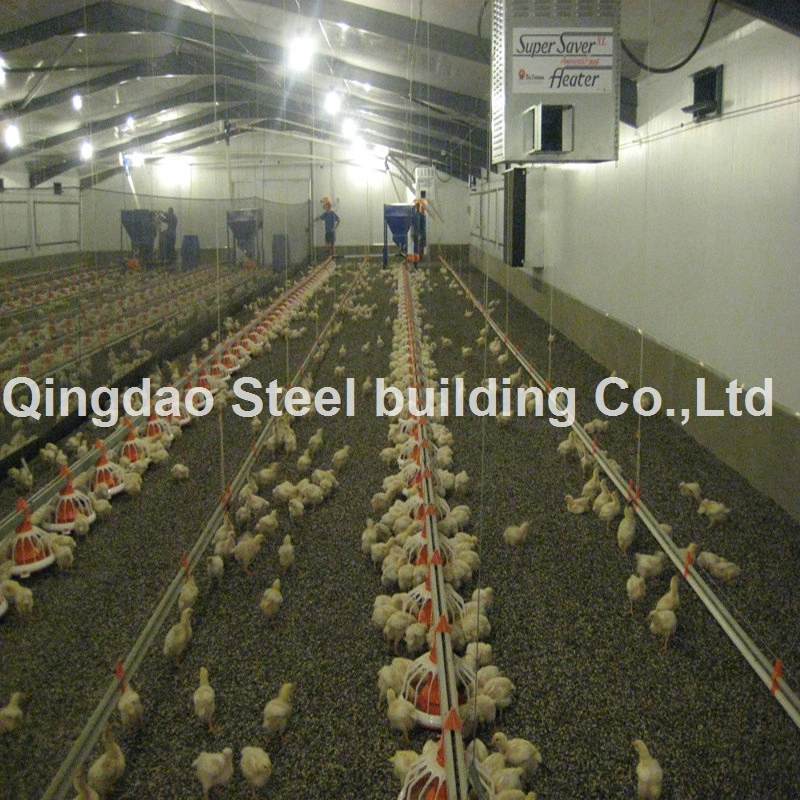 Poultry Chicken Coop House Steel Structure Construction Steel Farm Shed Building