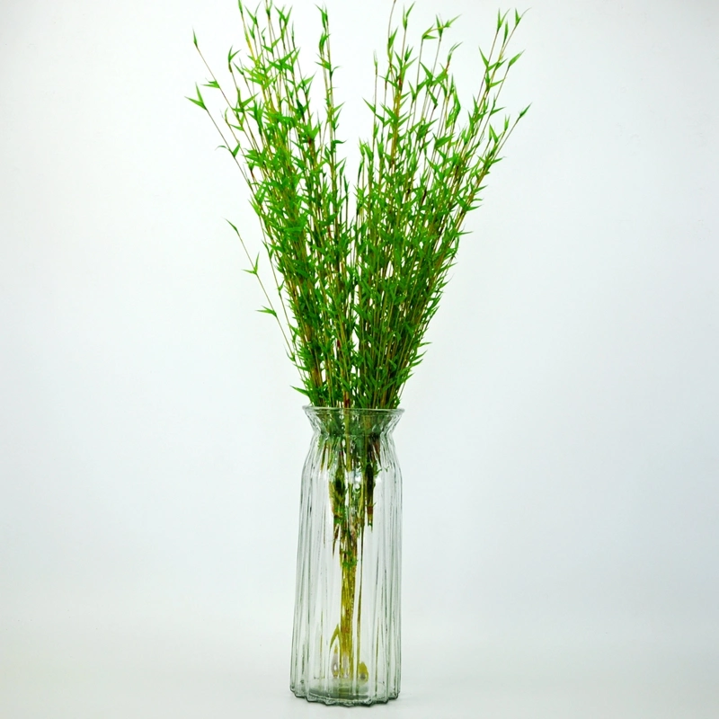 Transparent Lead Free Wide Mouth Embossed Hydroponic Glass Craft Vase