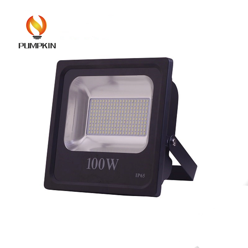 100 W de potência elevada SMD LED Spot de iluminação da lâmpada de luz de inundação