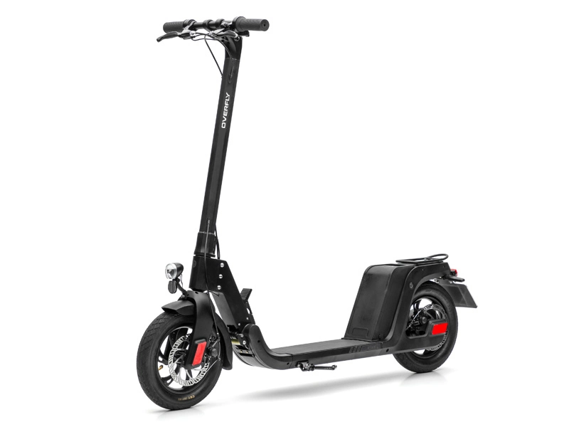 Nabenantrieb Motor Scooter eBike Lastlager 100kg mit integriert Batterie