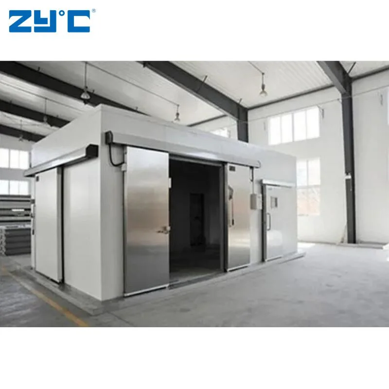 Cold Storage for Frozen Meat, Freezer Room, Chiller Cold Room