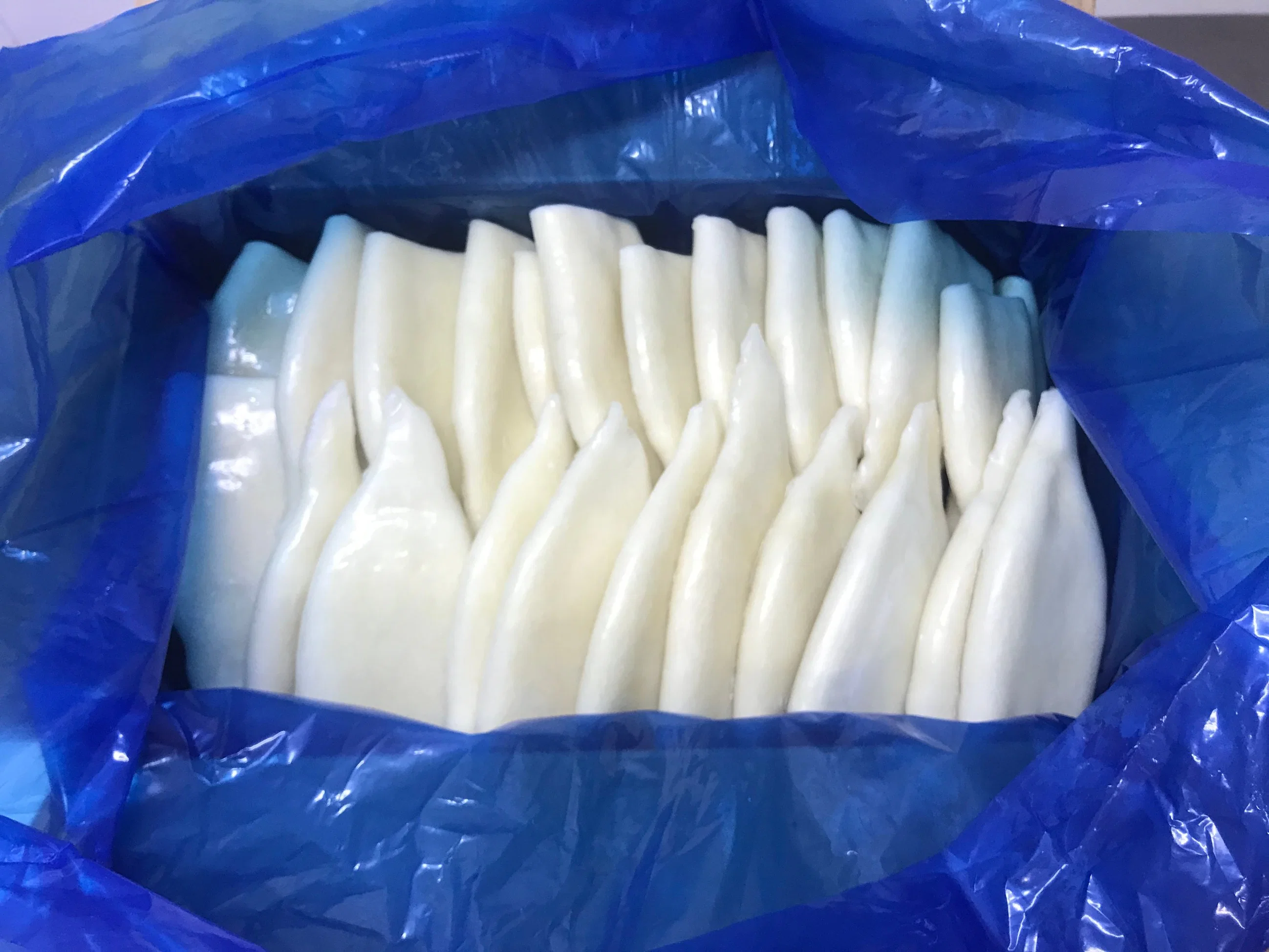 Italy Favorite Product Frozen Squid Tubes Gigas Squid Tube U5