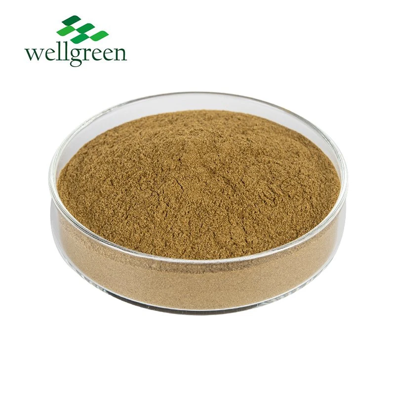 Wellgreen Food Grade Natural Organic Alfalfa Grass Extract Powder Medicago Sativa Alfalfa Meal