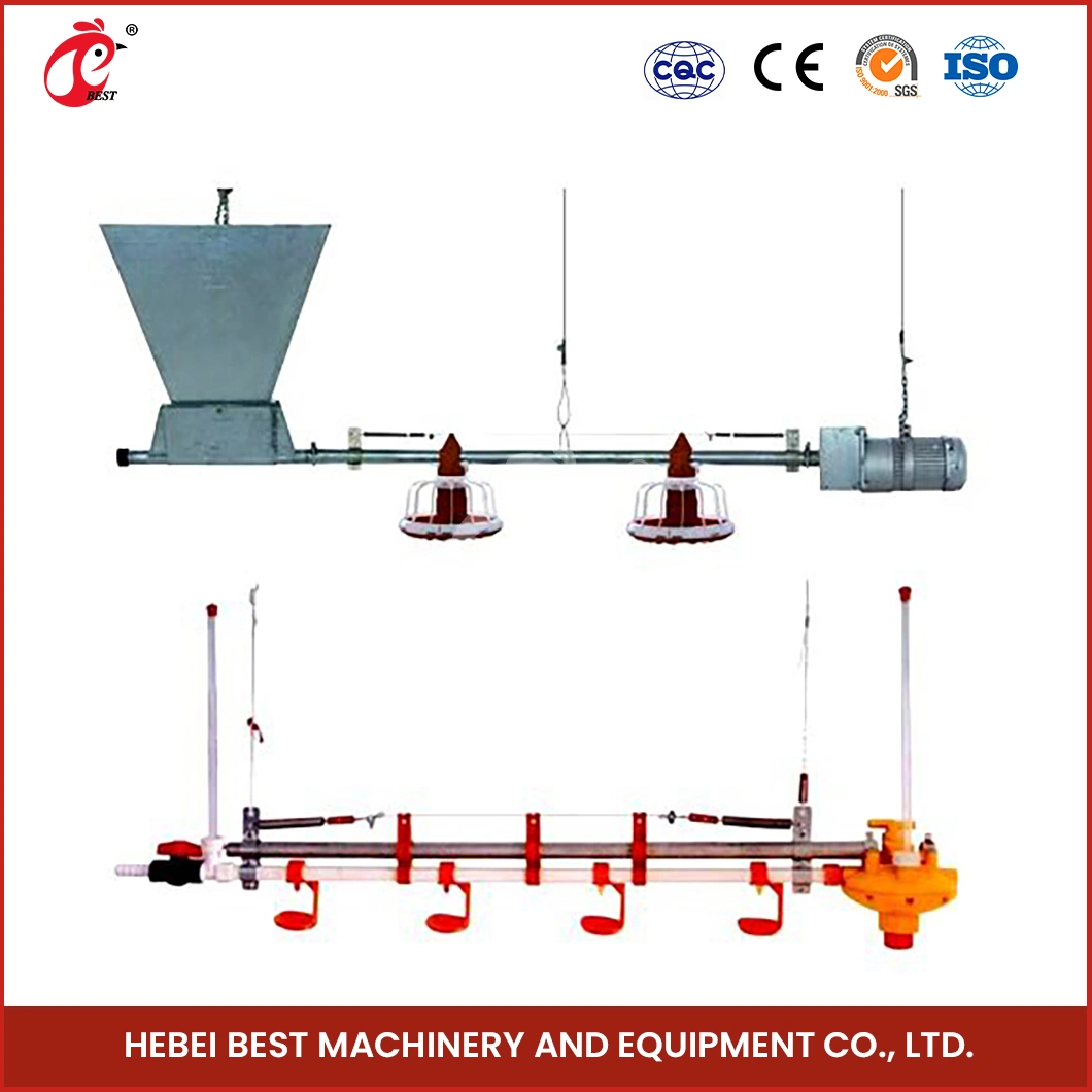 Bestchickencage Broiler Deep Litter System Custom China Feedstuffs Uniform Distribution Poultry Farm Equipment Broiler Deep Litter System Manufacturer