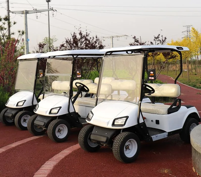 New Energy Golf Cart China Supplier Good Price Golf Car Electric Hot Sales to America