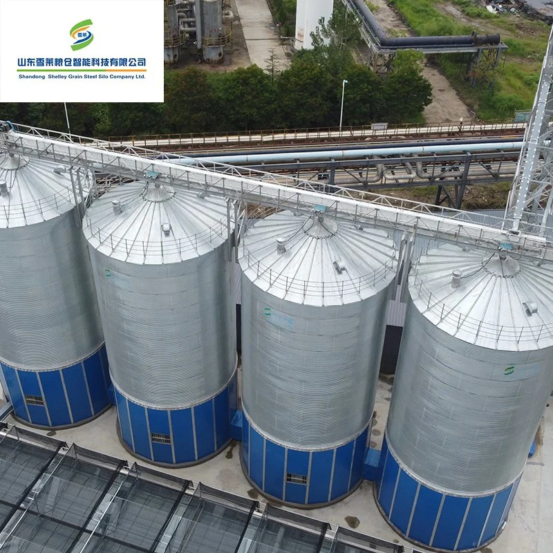 China Shelley Fabricação de Aço Galvanizado Silo Avícola Trigo Grãos Silo de milho para venda