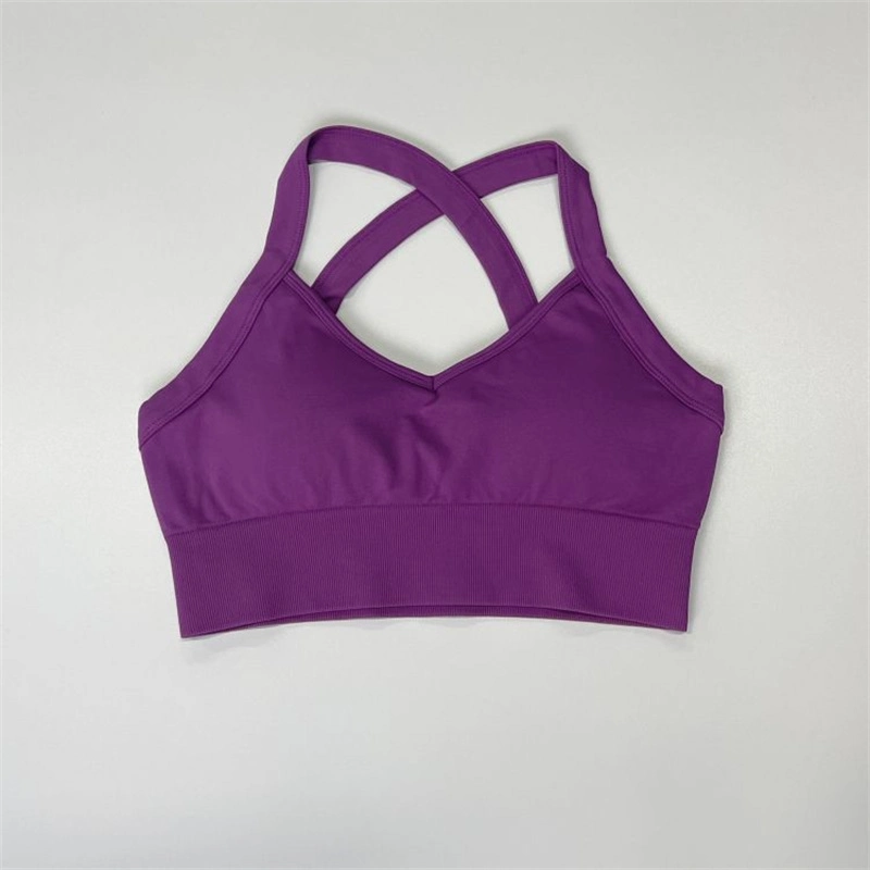 Custom Großhandel Neues Modell Spandex Yoga Schnell Trocken Crop Top Mode Aktiv Plus Größe High Impact Sexy Frauen Sport-Bh