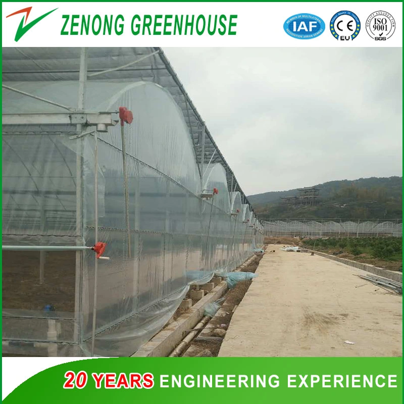 Good Quality Plastic Film Green House with Galvanized Standing Pillar for Sale