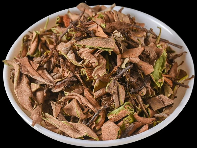 Pyrrosia Lingua (leaf) Chinese Herb Prepared Herbal Medicine Clearing Damp Promoting Diuresis