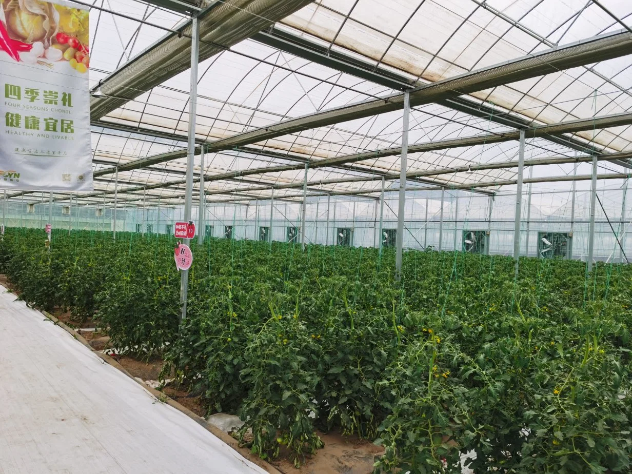 Perfect Commercial Manufacture Best Made Greenhouse Plastic Film