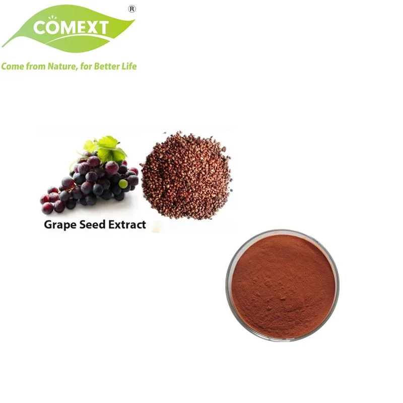 Comext Factory Vitis Vinifera 95% Proanthocyanidines extrait de graine de raisin pour Anti-âge