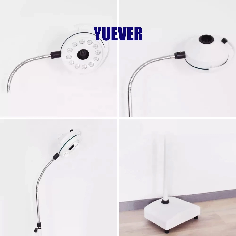 Yuever Medical datowless Vet Dental LED تشغيل مصباح فحص الضوء بجودة عالية