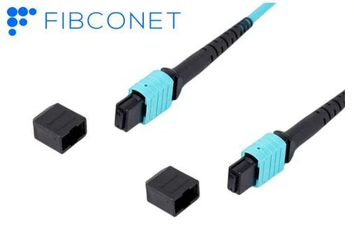 Fournisseur chinois FTTH 50/125 UM mm OM4 24 noyaux fibre Cordon de raccordement optique/optique MPO