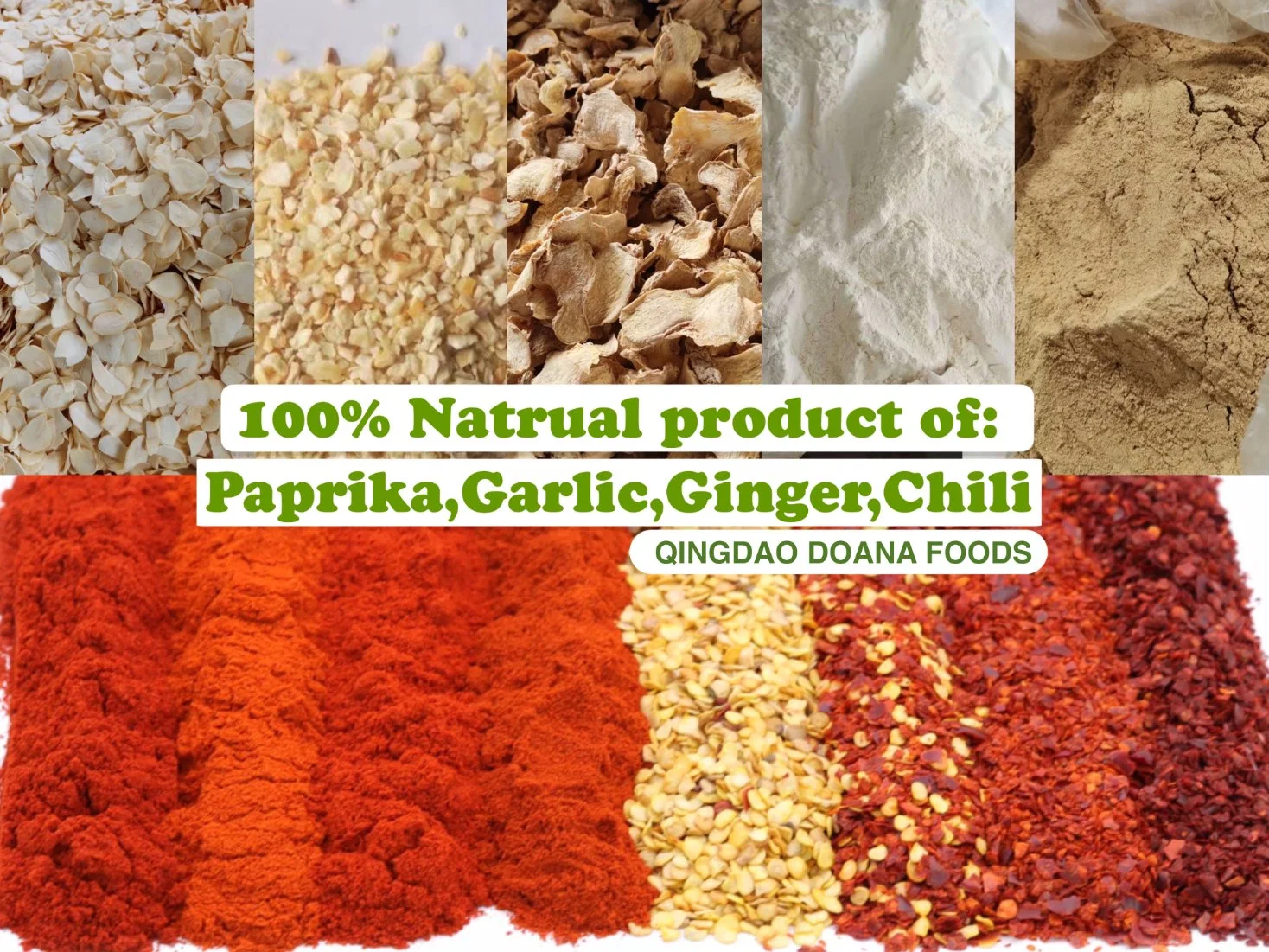 ISO HACCP Standard Chilli Spices Dried Red Chilli Pepper Powder