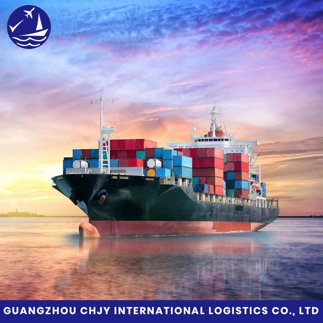 Professional Shipping Service/Freight Forwarder/Shipping Agent/Logistics From China to New Zealand