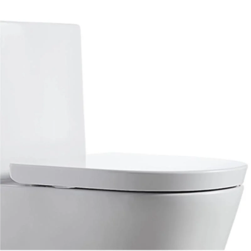 Nice Design Sanitary Ware Ceramic One Piece Toilet Set with Colored Line