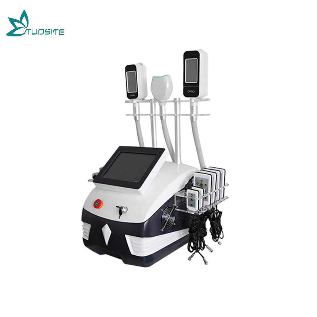 Stable Quality 360 Fat Freezing Body Fat Loss Cavitation Liposuction Beauty SPA Machine