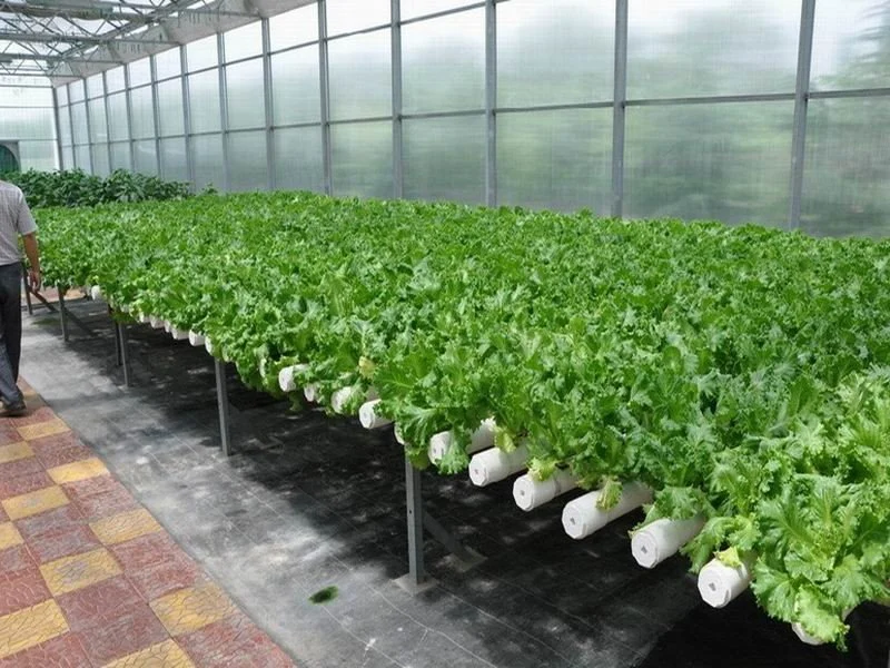 Manufacturer PVC Tube Garden Hydroponic System PVC Pipe Hydroponic System