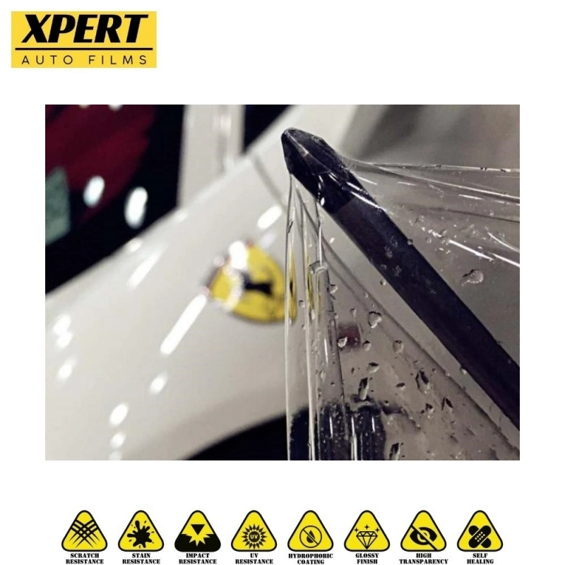 High quality/High cost performance  Stain&Corrosion Resistance TPU Car Ppf Vehicle Paint Protection Film