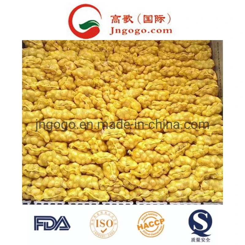 China New Crop Fresh Potato Supplier (50-200G)