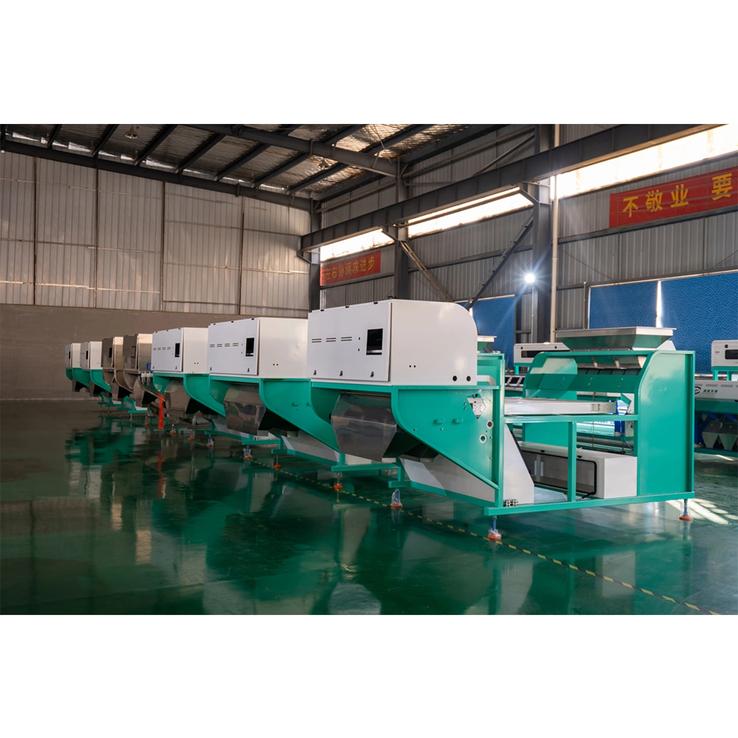 1200mm Wide Belt Sorting Machine for Garlic Intelligent Garlic Belt Color Sorter