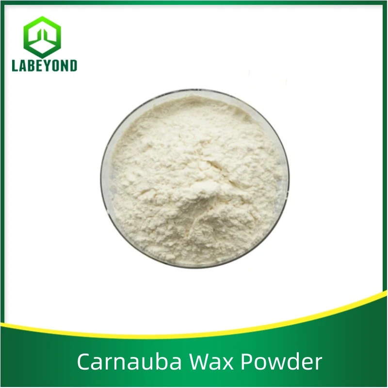Pharma Grade Carnauba Wax Powder CAS 8015-86-9