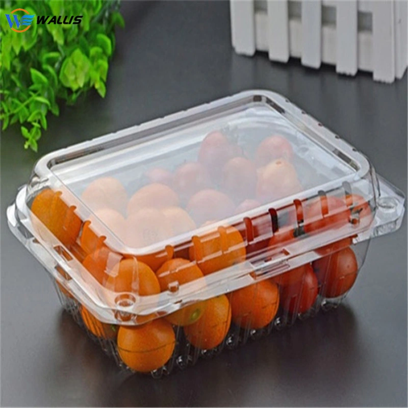 Clear Transparent PP Pet Polyester PVC Plastic Food Grade Fruit Cake Salad Frozen Packaging Tray with Lid