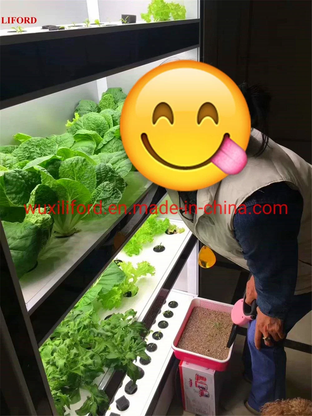 Irrigation Equipment Agricultural Tower Vertical Garden Hydroponics System for Microgreens