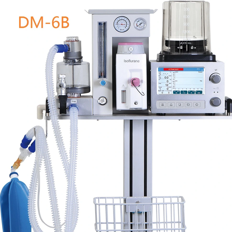 Machine d'anesthésie vétérinaire dm6b avec ventilateur de respiration