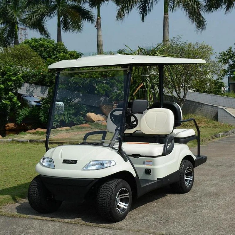 48V Battery Operated Competitive Price Street Legal New Energy Electric Golf Cart (LT-A627.2+2)
