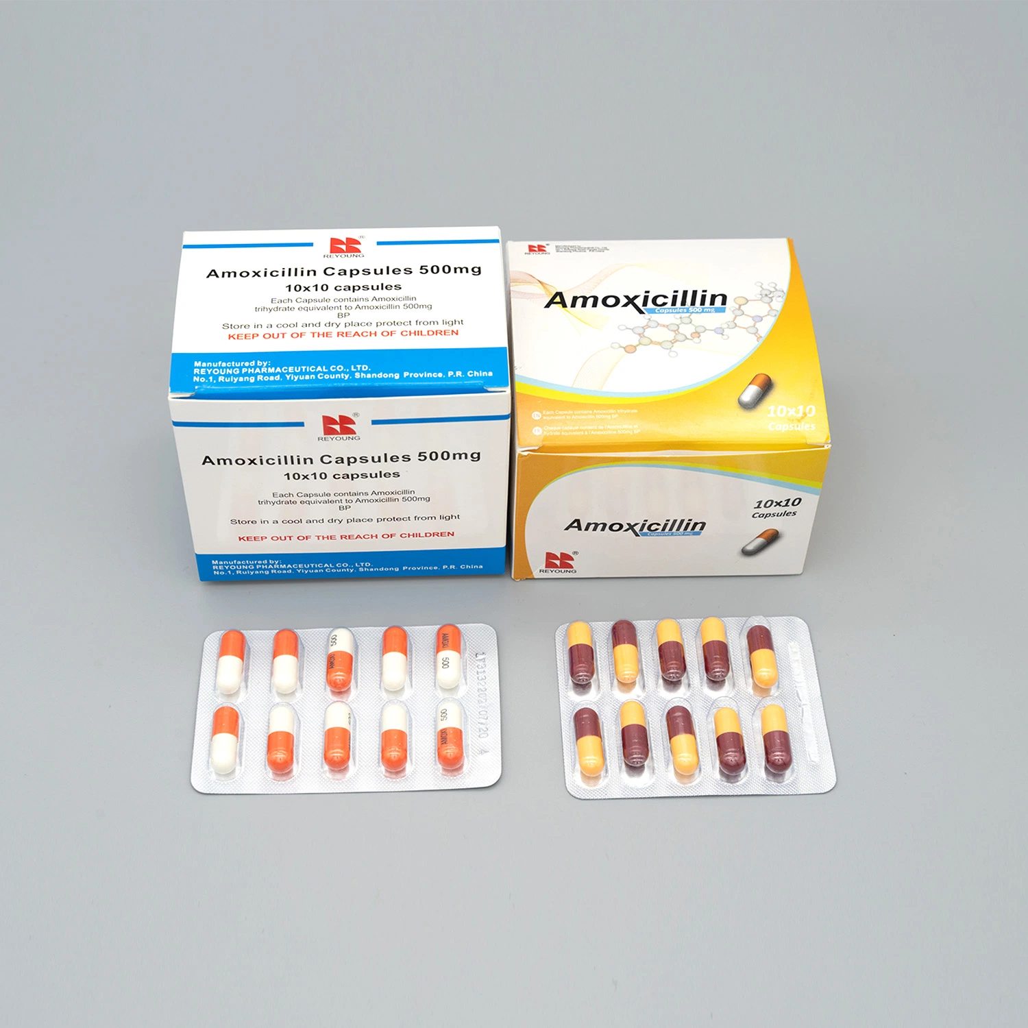 Amoxicillin Capsule with GMP From Reyoung Pharma