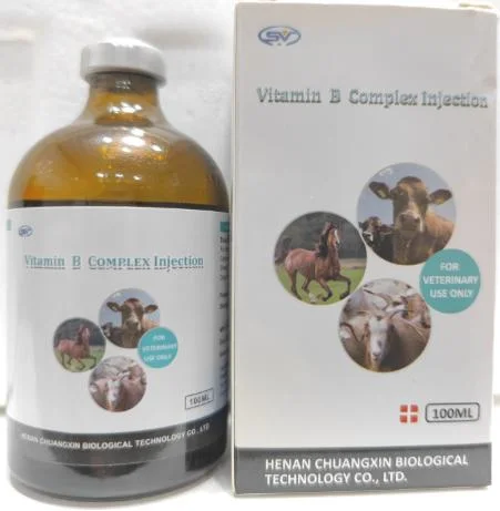 Key Points of Vitamin B6: Veterinary Supplement Nutrition