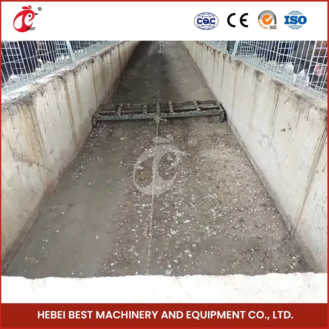 Bestchickencage Manure Removal System China Chicken Manure Cleaning Scrapper Machine Factory Sample Available Competitive Price Chicken Manure Removal System