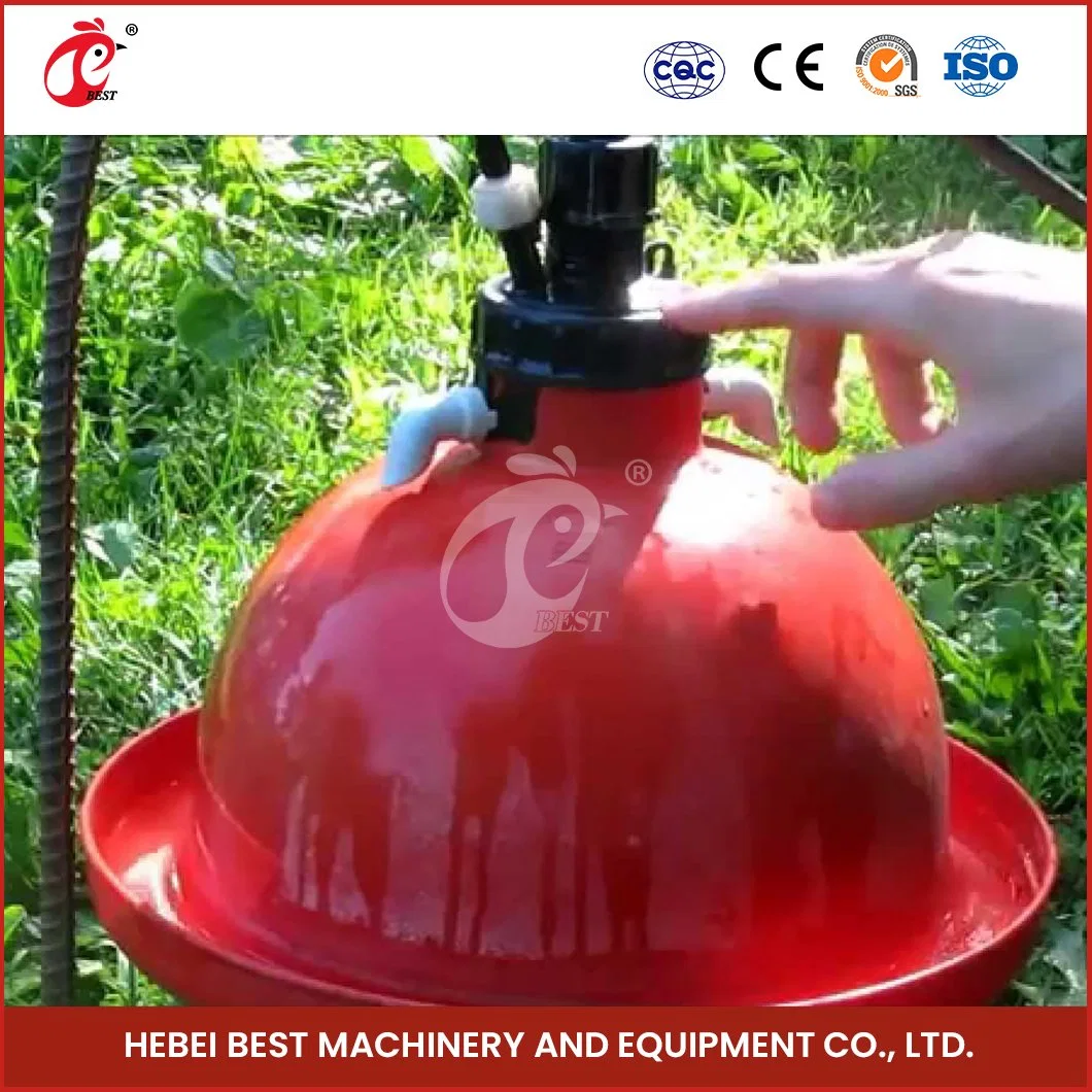 Bestchickencage Broiler Production Bell Drinker China Automatic Poultry Nipple Drinker Factory OEM Custom Easy to Control Chicken Drinker System