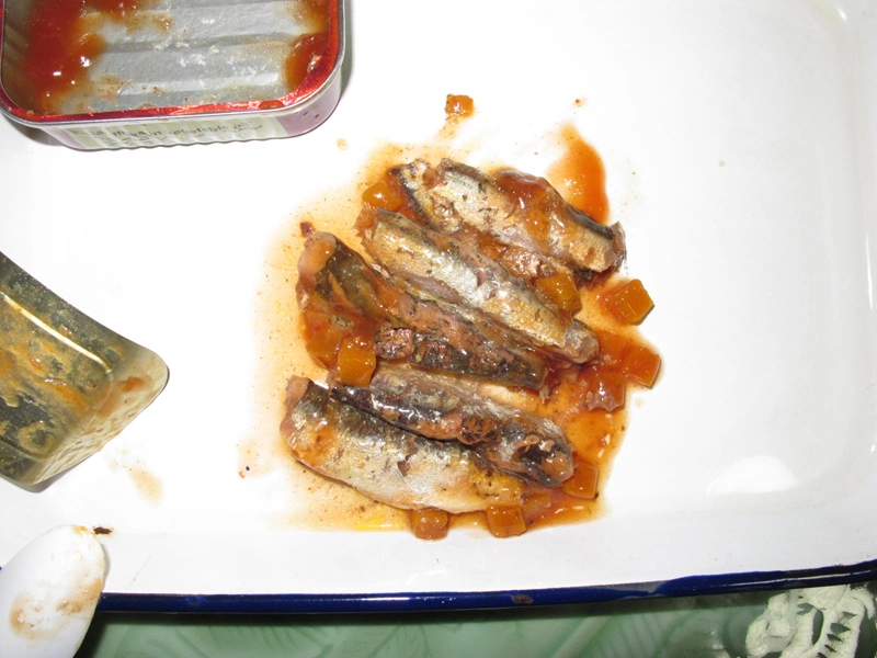 Canned Sardine 155g in Oil Best Canned Sardines From China