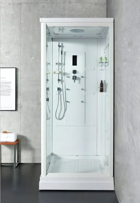 Customization Indoor Wet Steam Shower Room Fitness SPA