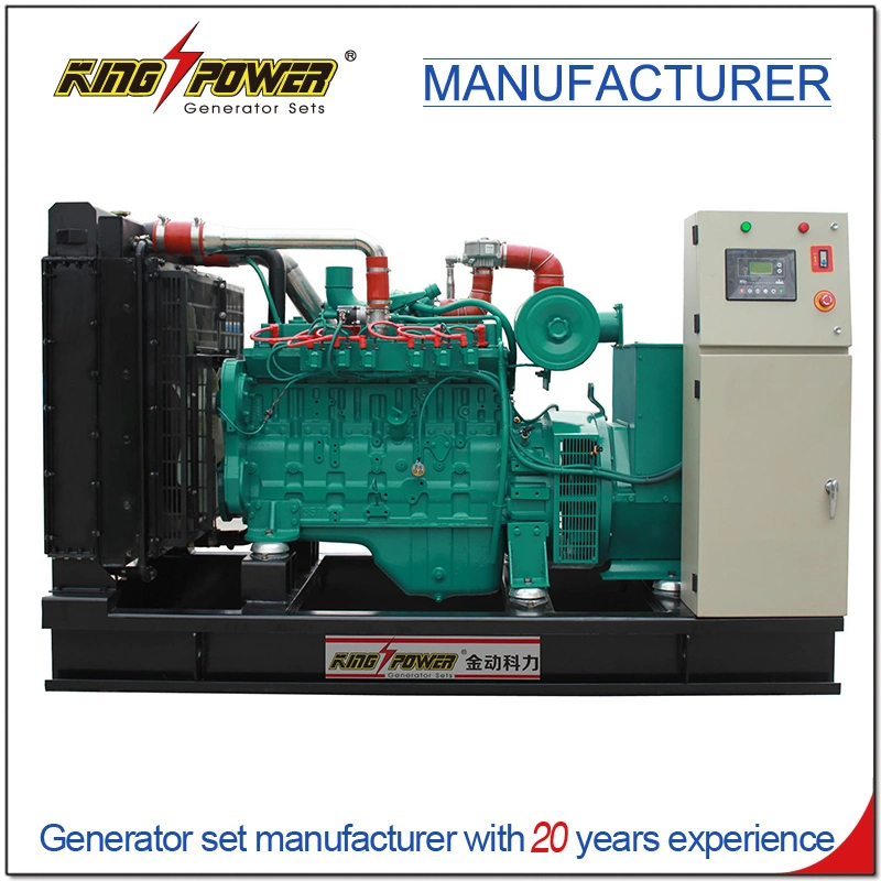 220kw Hot Sale Farm Use Biogas Generator with Desulfurizing System