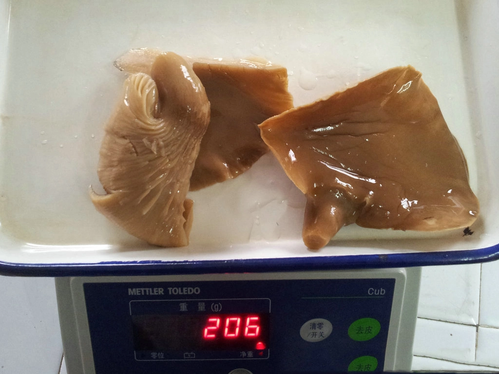 محاري معلب / محار أبون موشروم (propeuropus ostreatus) تصدير المنتج إلى فيتنام