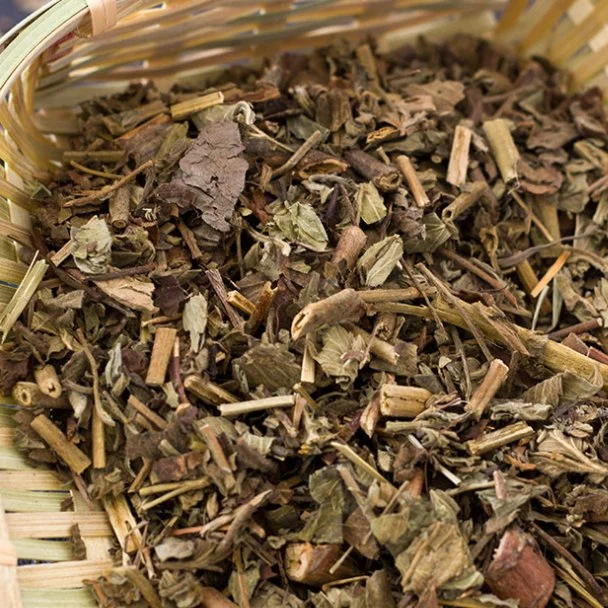 Xian que Cao tradicional La medicina herbaria china Agrimoniae Herba