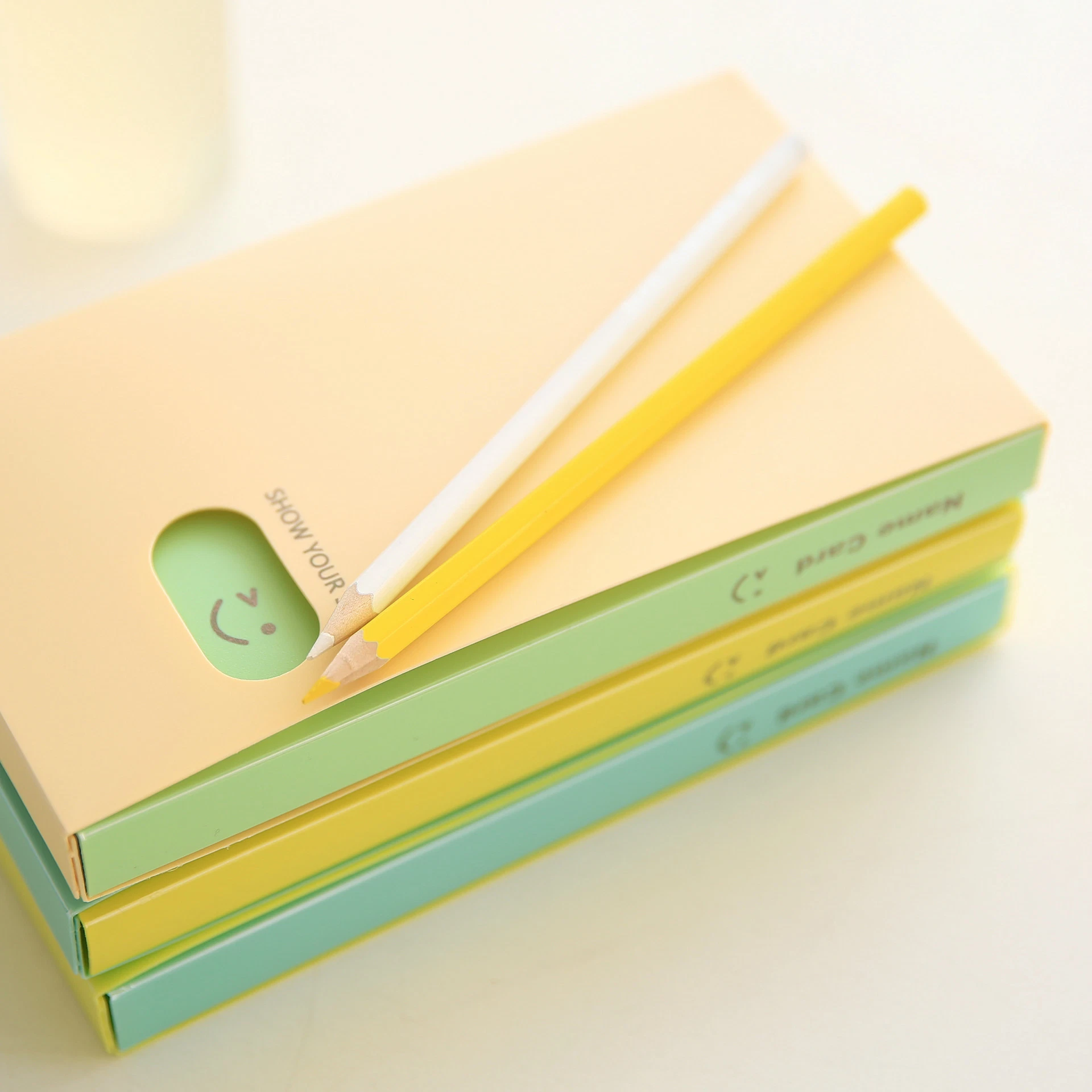 PP Folder Name Card Organizer Book