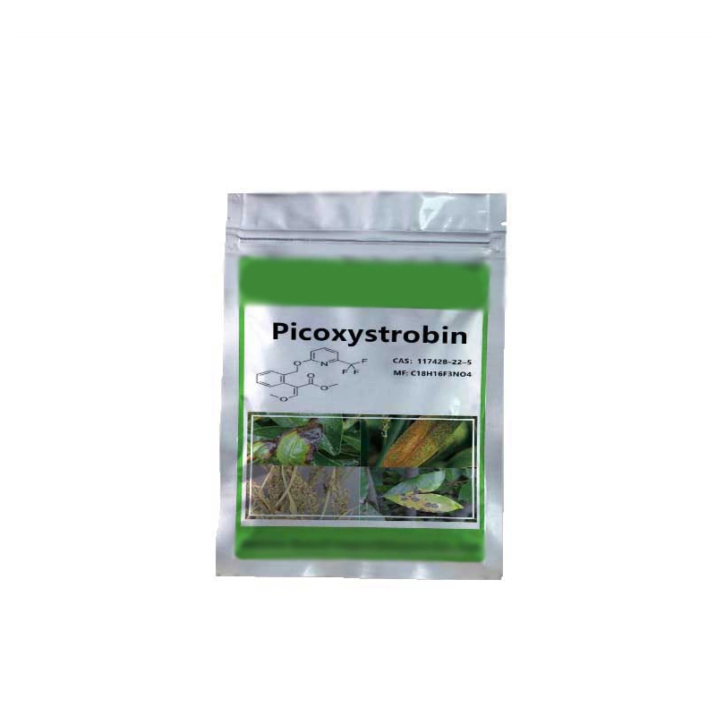 Picoxystrobin Fungicide Label for Clear Instructions