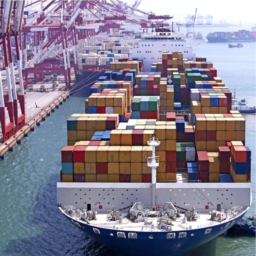 Cheap Sea Freight and Fast Shipping Agent LCL/FCL/Sea DDP Logistics Service From China to Africa