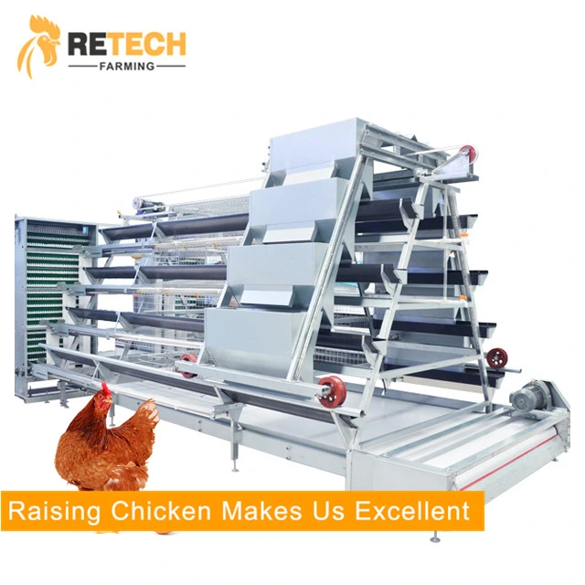 Poultry Farm Equipment Egg Layer Chicken Battery Cages for Sale