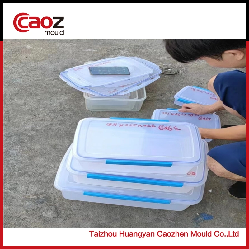 Used/Second Hand Plastic Food Container/Lock Lock Container Injection Mould